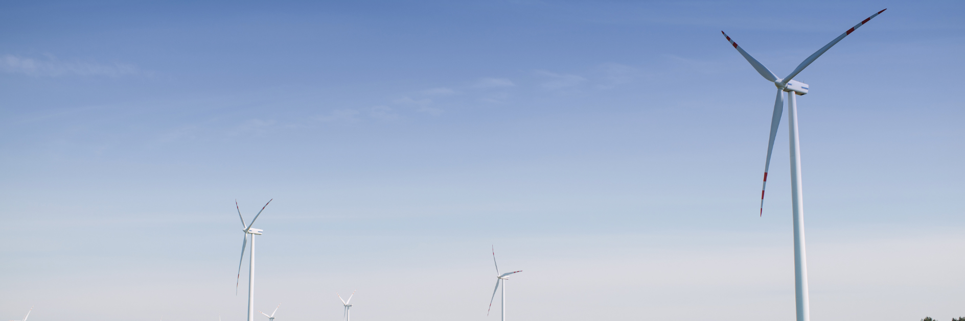 Windkraftanlagen auf einem grünem Feld.